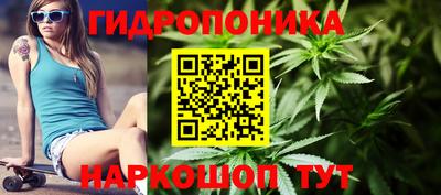 ECSTASY Боровичи